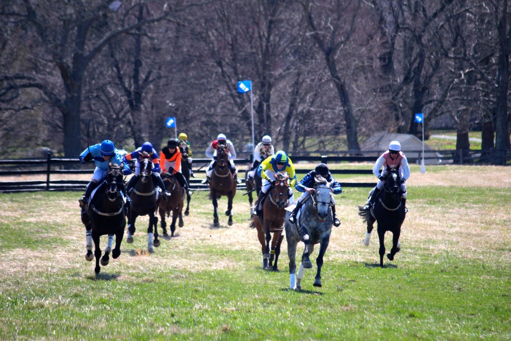 Lady's Manor Steeplechase