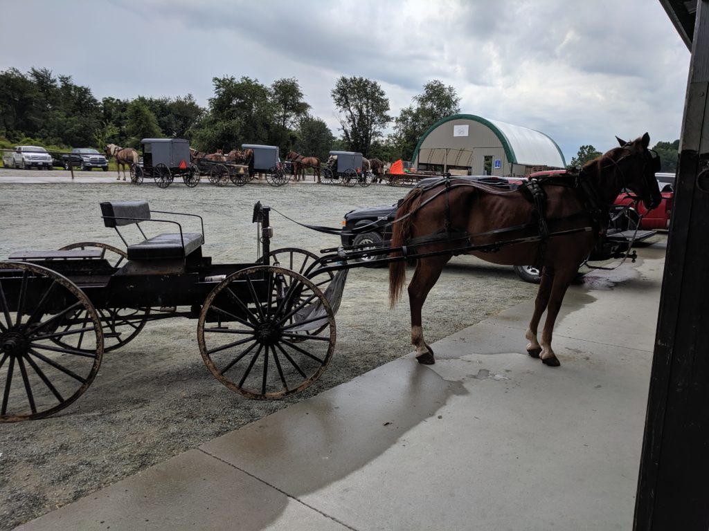 Amish horse and wagon at market farmers market